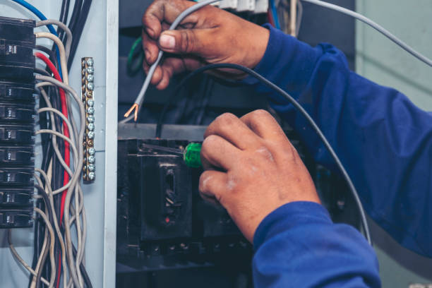 Best Electric Panel Repair  in Thomaston, NY